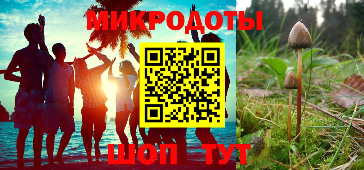 Псилоцибиновые грибы ЛСД  Вход с VPN  Городец 